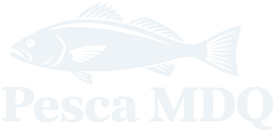 Pesca MDQ